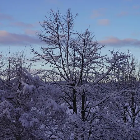 Ausblick