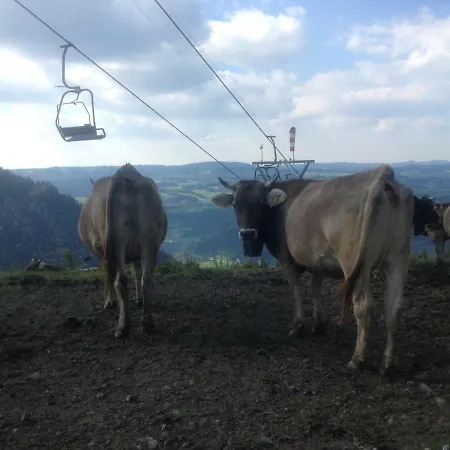 Ausblick *