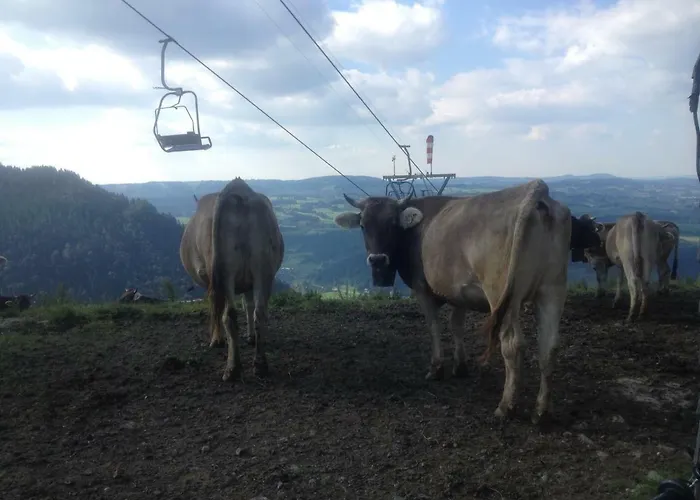 Ausblick *