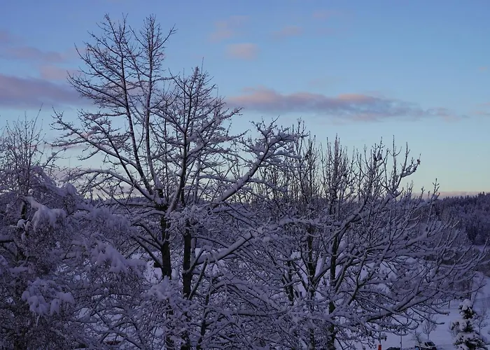 База отдыха Ausblick Миссен-Вильхамс